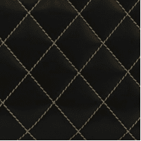 ワイルドステッチ